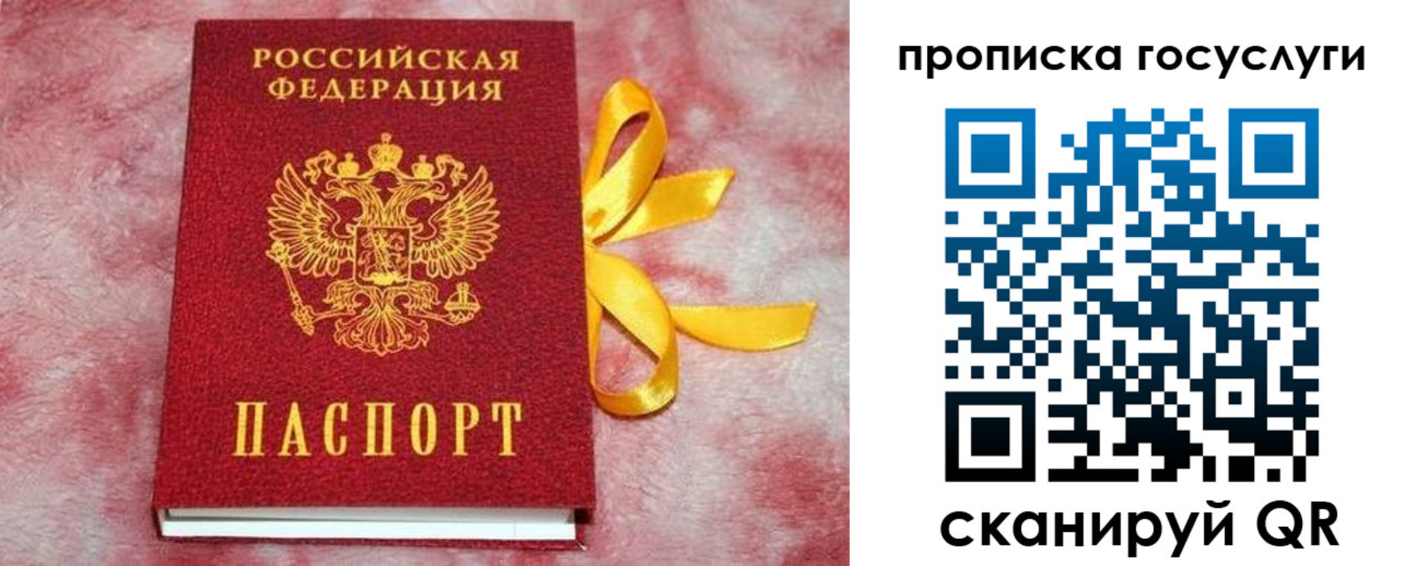 прописка законно в Кашине