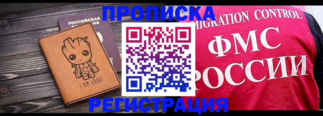 прописка 2025 в Кашине